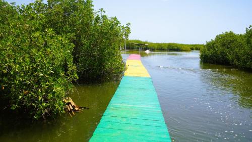 a colorful pathway in the middle of a river at Maison flottante SWEET MALBALY - chambre double - vue imprenable sur mer- iles du saloum in Fatick