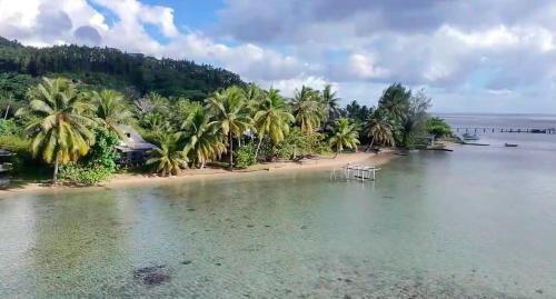 an aerial view of a beach with palm trees at RAIATEA - The BEACH HOUSE - plage sur le lagon ! in Tevaitoa