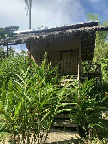 a small hut with a roof on top of some plants at Prince John Beachfront Eco Bungalows and Restaurant in San Vicente