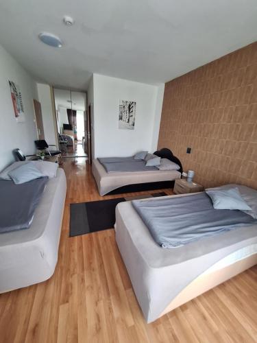 two beds in a large room with wooden floors at Velvet Motel in Hegyeshalom