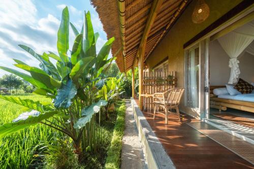 a porch of a house with a bed and a plant at Rumah Kita Ecolodge in Ubud