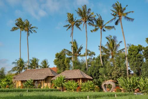 a house in a field with palm trees at Rumah Kita Ecolodge in Ubud