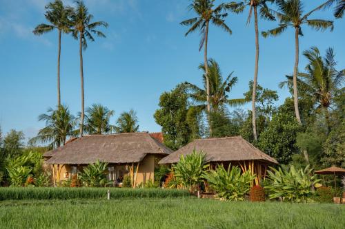 a couple of houses with palm trees in the background at Rumah Kita Ecolodge in Ubud