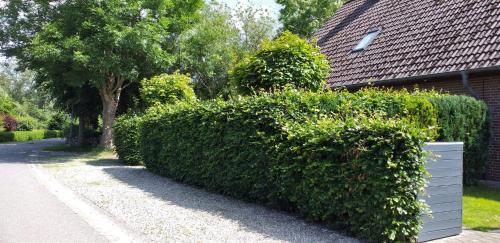 a row of hedges in front of a house at Lykkehus in Humptrup