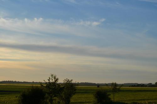 a field of grass with a cloudy sky at Lykkehus in Humptrup