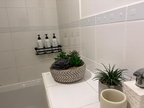 three potted plants sitting on a counter in a bathroom at Lovely Room with a view & Parking nr Hampton Court in West Molesey