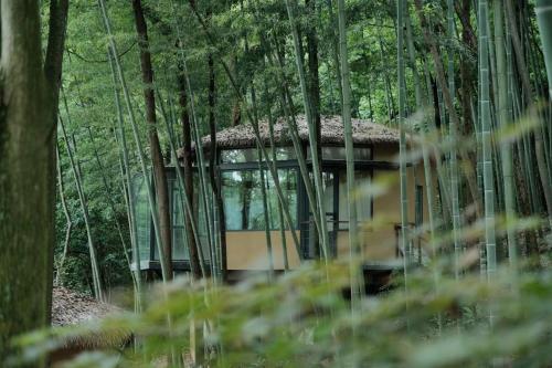 Fotografie z fotogalerie ubytování Qingcheng Mountain Jiuxipo · Mountain Stream Bamboo Forest Private Hot Spring Homestay v destinaci Jiezi Ancient Town