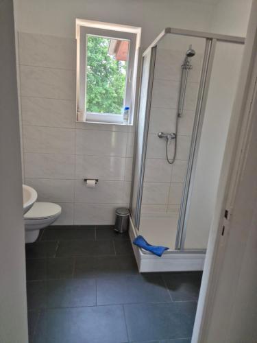 a bathroom with a shower and a toilet at Haus am Wendsee in Brandenburg an der Havel