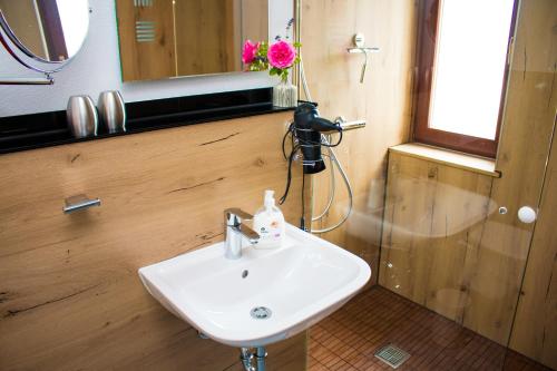 a bathroom with a sink and a mirror and a camera at Ferienwohnungen "Am Mühlteich" in Radeburg