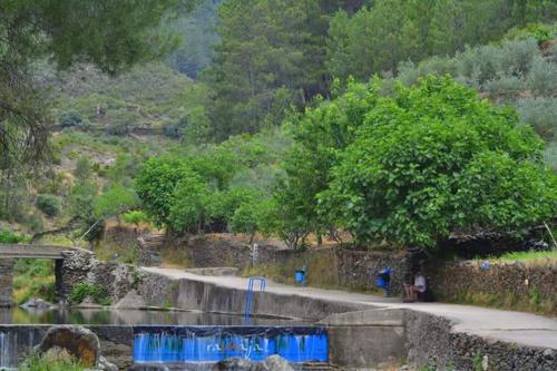 a person sitting on a path next to a river at Casa Rural El Chorritero in Ovejuela