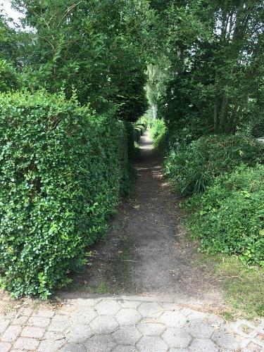 a path through a hedge in a park at Bed & Breakfast Bigalke in Hamburg