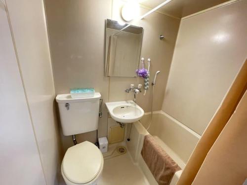 a small bathroom with a toilet and a sink at モリアパートメント 102 in Wada