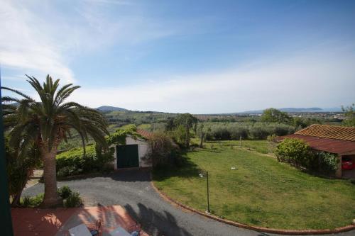 a house with a palm tree and a driveway at Agriturismo SS Annunziata in San Vincenzo
