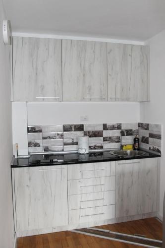 Kuchyň nebo kuchyňský kout v ubytování Franstal Apartments