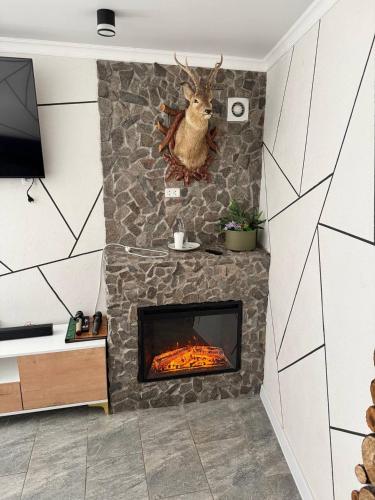 a fireplace with a deer head on the wall at Timur Resort Turgen in Taūtürgen
