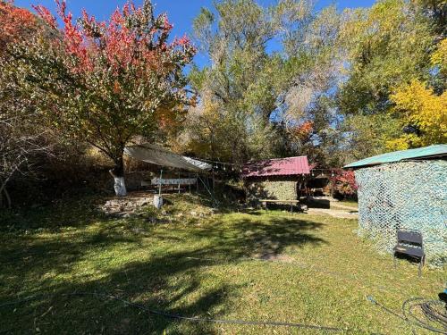 a yard with a building and trees in the background at Timur Resort Turgen in Taūtürgen