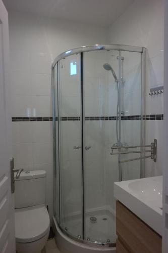 a bathroom with a shower with a toilet and a sink at Les Muguets in Villers-sur-Mer