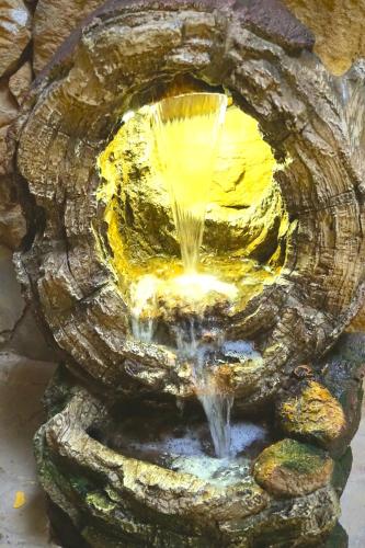 a water fountain in the shape of a turtle at Hotel Aurora in Montezuma