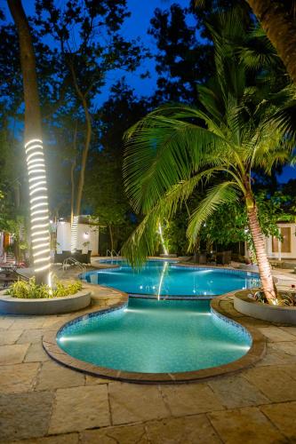 a swimming pool at night with palm trees and lights at Aeraki palms in Bordi