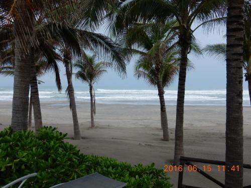 a view of a beach with palm trees and the ocean at La Isla Gran Cayman 904 in Acapulco