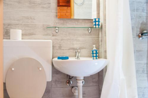 a bathroom with a toilet and a sink at B&B Villa Nena in Plitvica Selo