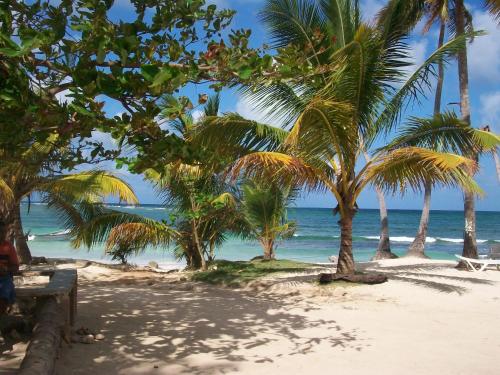 a sandy beach with palm trees and the ocean at Villa La Caleta in Las Galeras
