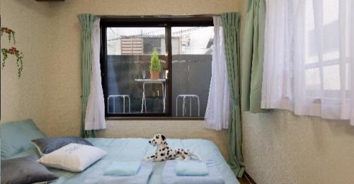 a dog sitting on a bed in a bedroom at Cosmo Mercy N-1 / Vacation STAY 12990 in Tokyo