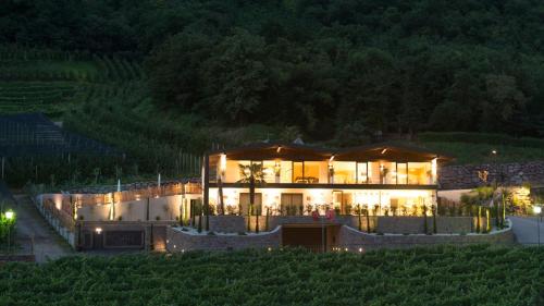 a house in a vineyard at night at Moar Lodge in Postal