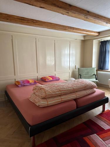 una camera con un grande letto con di Cosy stay near stunning sights, located on main street a Luchsingen