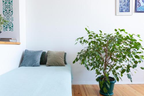 Gallery image of Saperavi Comfort Apartment, Aghmashenebeli Avenue in Tbilisi City