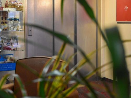 a plant in front of a chair in a room at ibis Albert Pays de Somme in Albert