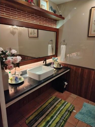 a bathroom with a sink and a large mirror at El Casa Azul in Amadeo