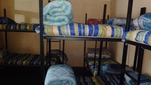 Palanda nebo palandy na pokoji v ubytování BPR Hostel