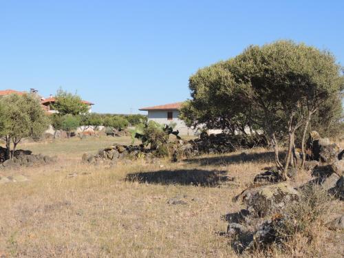 a field with a group of trees and rocks at Il Nuraghe in Uras