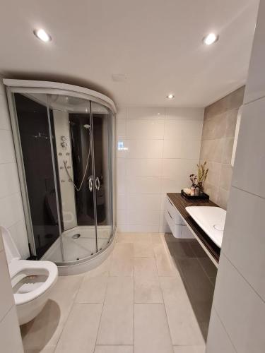 a bathroom with a shower and a toilet and a sink at Appartement Herbaijum in Herbaijum
