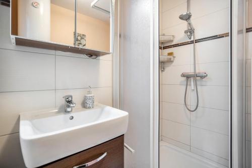 德兰斯克Bungalow 'zur Möwe' Bgl 21的带水槽和淋浴的浴室