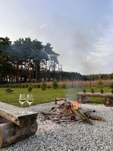 two glasses of wine are sitting next to a fire at Domki Zacisze odpocznij wśród natury w Wielkopolsce in Orlina Duza