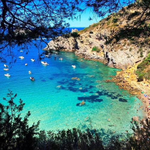a group of people swimming in a body of water at ClaMar Apart Hotel in Porto Ercole