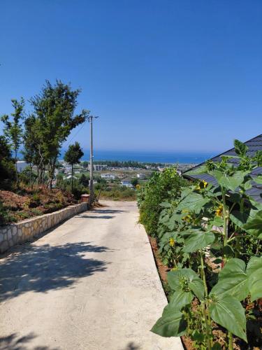 a path leading to a garden with sunflowers at Hotel Lalez Durres in Durrës