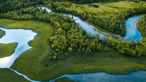 an aerial view of a river and trees at Mystic Manali in Palchān