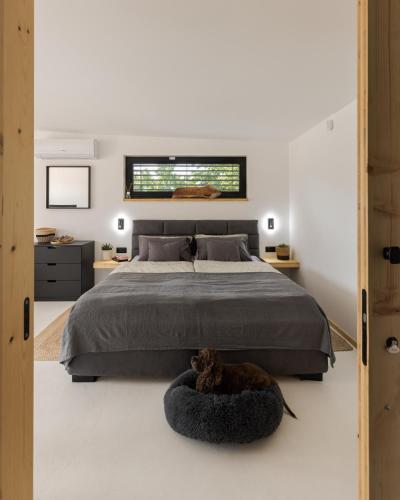 a bedroom with a bed and a cat laying in a bowl at Danube Cottage in Komárno