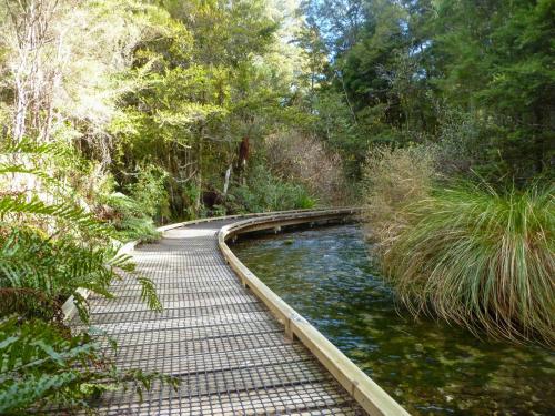 a walkway next to a river in a forest at The Station House Motel in Collingwood