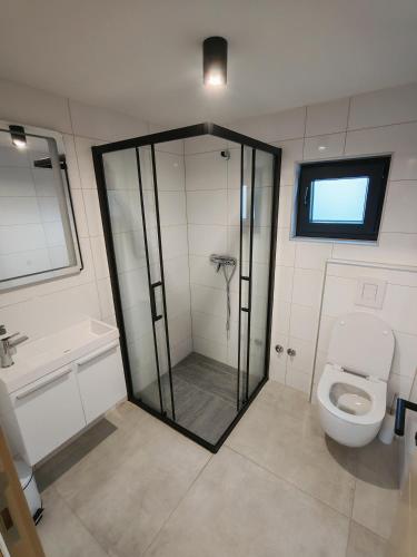 a bathroom with a shower and a toilet at Bungalov Damiano's 9 in Podbrdo