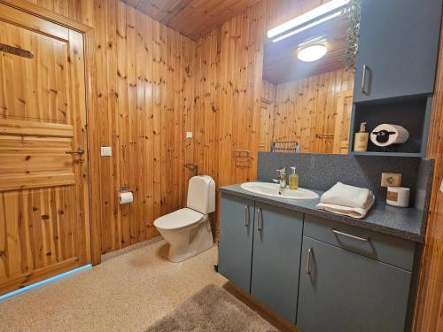 a bathroom with a toilet and a sink and a mirror at North Forest Retreat in Akureyri
