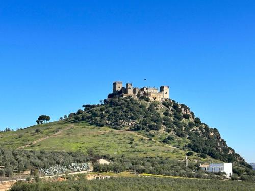 a castle on top of a hill at Casa Caraza. Un olivar con vistas al castillo de Juego de Tronos in Almodóvar del Río