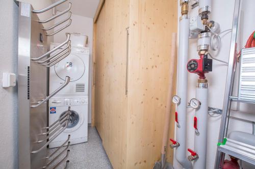 - une buanderie avec un lave-linge et un sèche-linge dans l'établissement Schöneben Chalet Enzian, à Wald im Pinzgau