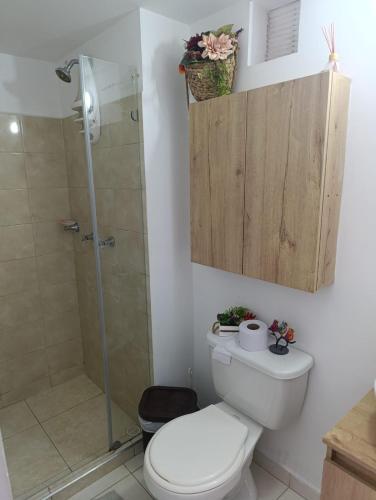a bathroom with a white toilet and a shower at Apartaestudio al norte de Armenia in Armenia