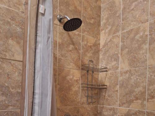 a shower with a glass door with a shower head at Mount Festiva Lodge in Akasia