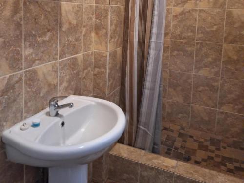 a bathroom with a sink and a shower at Mount Festiva Lodge in Akasia