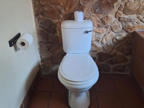 a white toilet in a bathroom with a stone wall at Mount Festiva Lodge in Akasia